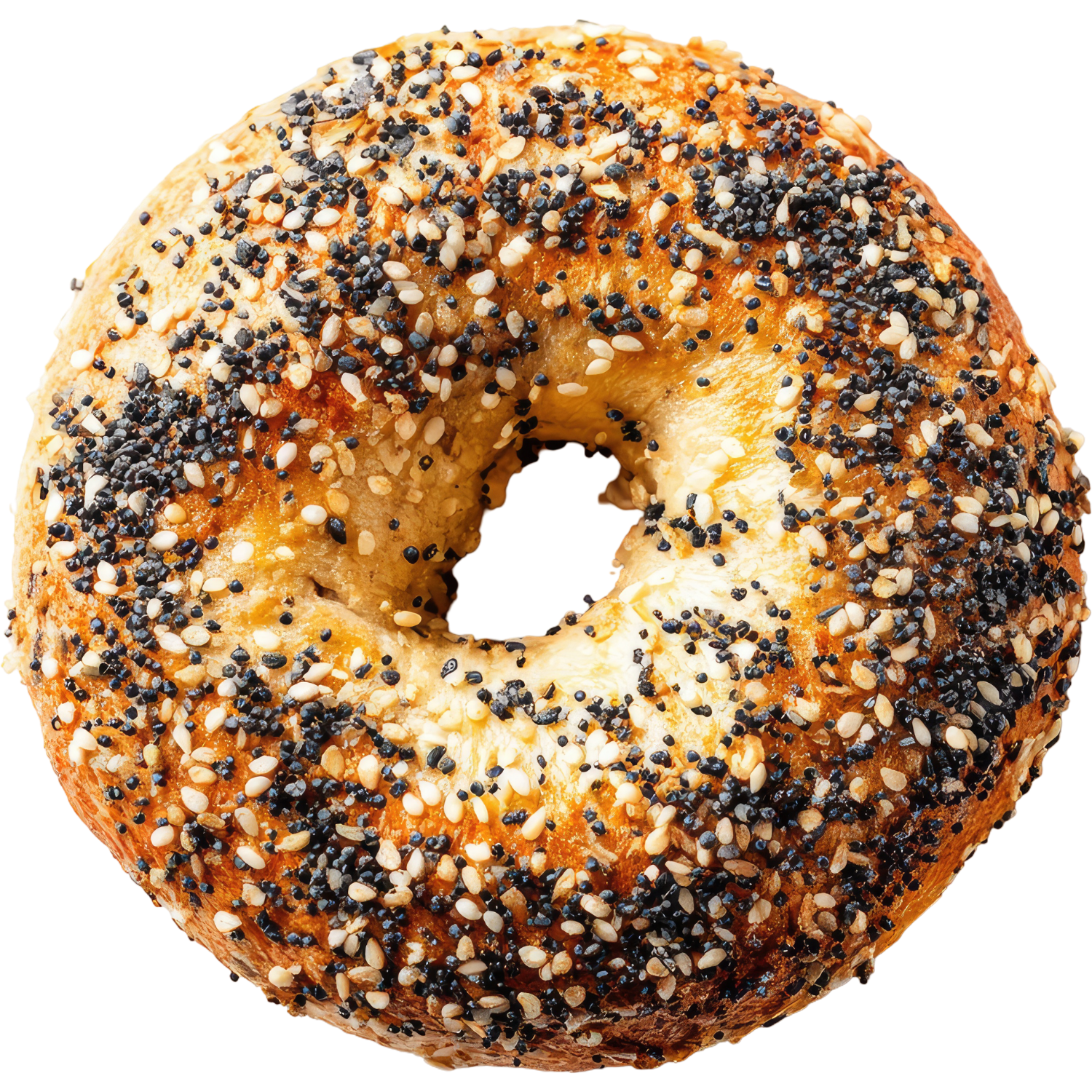Everything Bagel